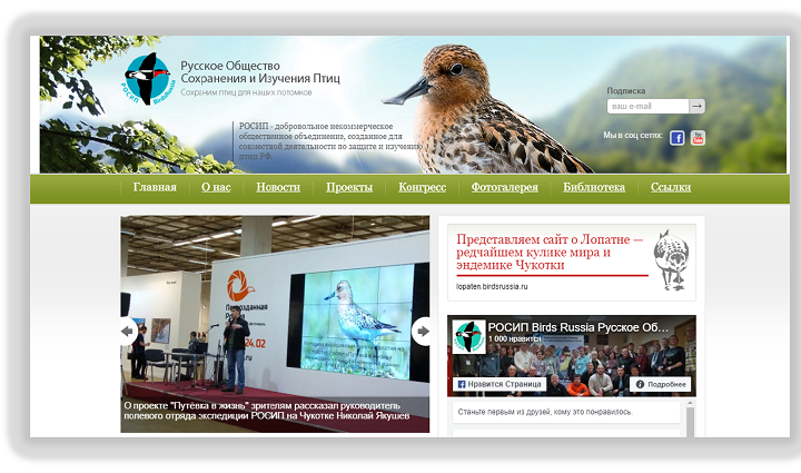 Русское общество изучения птиц &nbsp; &nbsp; &nbsp; &nbsp; &nbsp; &nbsp; &nbsp; &nbsp; &nbsp; &nbsp; &nbsp; &nbsp; &nbsp; &nbsp; &nbsp; &nbsp;&nbsp;